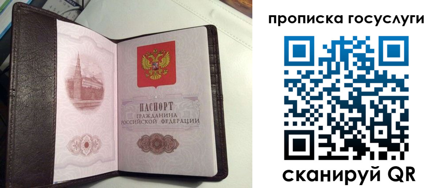 временная прописка в Котельниче